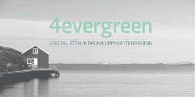 4evergreen logotyp