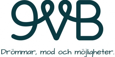 9vB företagslogotyp