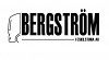 T Bergström i Eskilstuna AB logotyp