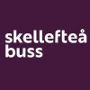Skellefteå buss logotyp