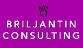 Briljantin Consulting