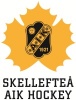 Skellefteå AIK Hockey logotyp
