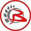 Bravura logotyp