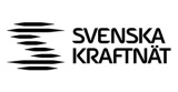 Svenska kraftnät logotyp