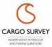 Cargo Survey AB logotyp